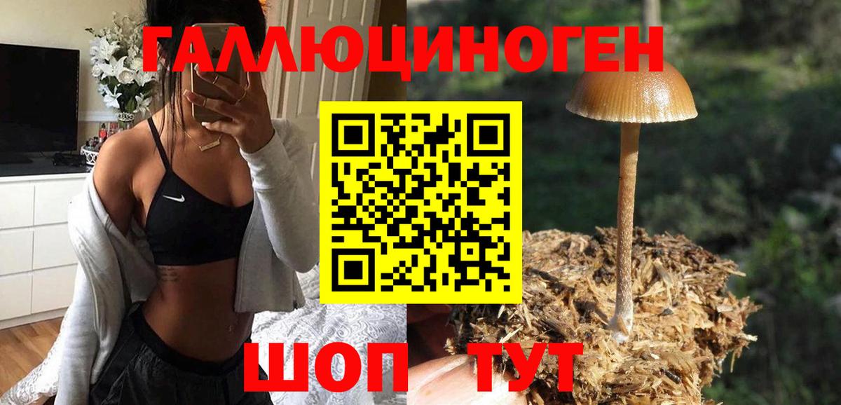 Псилоцибиновые грибы MAGIC MUSHROOMS Нововоронеж