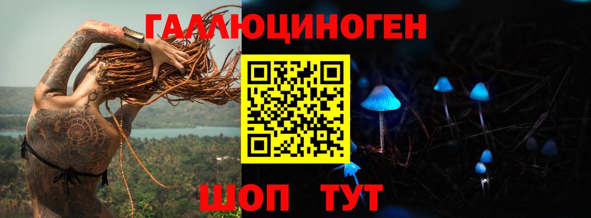 Нововоронеж  Галлюциногенные грибы Magic Shrooms  Вход с VPN  Галлюциногенные грибы ЛСД 